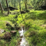 Terreno rural a venda de 18 hectáres com pastagem no Rio do Poncho em São Bonifácio-SC