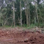 EXCELENTE ÁREA DE FRENTE PARA ESTRADA PRINCIPAL, Linha Pedras Brancas, Gramado - RS