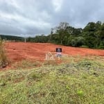 Terreno Residencial à venda, Centro, Campina Grande do Sul - TE0052.