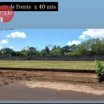 Terreno à venda, 12000 m² por R$ 1.165.000,00 - Jardim Canadá - Ribeirão Preto/SP