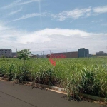 Terreno Residencial à Venda no Bairro Reserva Macaúba em Ribeirão Preto. Ótima Localização.