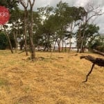 Terreno para Locação com 5000 m², próximo a Rodovia Anhanguera em Ribeirão Preto. Excelente Localização.