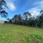 Terreno, Praia da Lagoinha, Ubatuba - R$ 350 mil, Cod: 2151