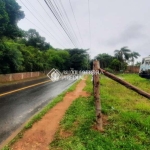 Terreno à venda na Rua Dolores Duran, 317, Lomba do Pinheiro, Porto Alegre