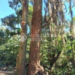 Terreno comercial à venda na Estrada Martim Afonso de Souza, 1, Balneária, São Bernardo do Campo