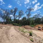 Alphaville Paraná, terreno grande, grande área verde. Maior terreno