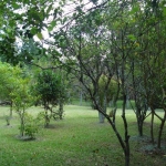 Casa com 4 quartos à venda na Estrada Manoel Leôncio de Souza Brito, 140, Vargem Pequena, Florianópolis