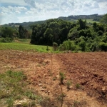 Terreno à venda na Rio do Cacho, S/N, Zona Rural, Contenda