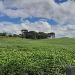 Terreno à venda na Rua Miguel Zeteski, 3050, São Marcos, São José dos Pinhais