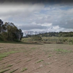 Terreno à venda na Rua Alcebíades da Cruz, 00, Campo Largo da Roseira, São José dos Pinhais