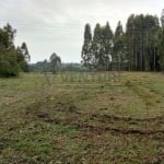 Terreno à venda na Rua Pedro Buhrer, 00, Campo Largo da Roseira, São José dos Pinhais