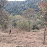 Terreno em Condomínio para Venda em Mairiporã, Cerros Verdes