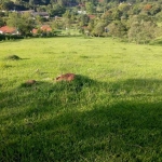 Terreno para Venda em Nazaré Paulista, Mascate