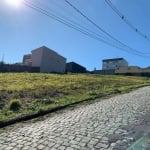 Terreno à venda na Louvis Augusto Martins, 10, Esplanada, Caxias do Sul