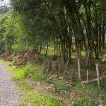 Terreno à venda na Avenida Capivari, 9, Jardim Eldorado, Caxias do Sul