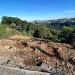 Terreno à venda na Avenida Amabile Faoro Marcon, 2278, Vila Verde, Caxias do Sul