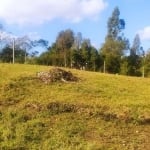 Terreno à venda na Rua Eduardo Antonio Kuhn, 100, São Caetano, Caxias do Sul