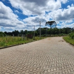 Terreno à venda na Rua Arlindo Antonio Saccaro, 100, Ana Rech, Caxias do Sul