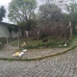 Terreno para Venda - 452m², 0 dormitórios, São Leopoldo