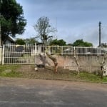 ÓTIMO TERRENO PARA VENDA NA BORDA DO CAMPO