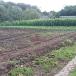 Terreno à venda na Estrada Vereador Marcial Pisoni, 1, Nossa Senhora da Saúde, Caxias do Sul