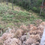 Terreno à venda na Rua Guerino Sanvitto, 0000, Sanvitto, Caxias do Sul