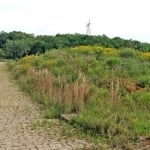 Terreno à venda na Estrada Municipal Avelina Tomazzoni Piccoli, 808, Monte Bérico, Caxias do Sul