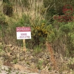 Terreno à venda na Henrique Dávila, 01, Parada Cristal, Caxias do Sul