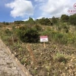 Terreno à venda na Henrique Dávila, 00, Parada Cristal, Caxias do Sul