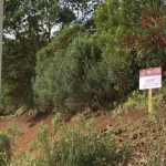 Terreno à venda na Henrique Dávila, 00, Parada Cristal, Caxias do Sul