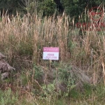 Terreno à venda na Henrique Dávila, 00, Parada Cristal, Caxias do Sul