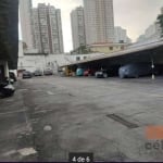 Terreno para alugar, 1360 m² por R$ 23.780,00/mês - Belenzinho - São Paulo/SP