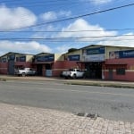 OPORTUNIDADE ÚNICA: ESPAÇO AGROPECUÁRIO COM 990M² DE LOJA