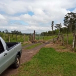 Rural Área em São Carlos