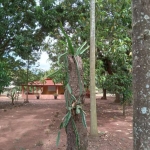 Rural Chácara em São Carlos