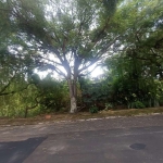 Terreno Padrão em São Carlos