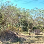 Terreno Padrão em São Carlos