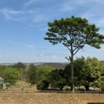 Rural Chácara com Condomínio em São Carlos