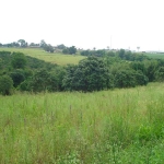 Terreno Padrão em Limeira