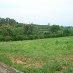 Terreno Padrão em Limeira