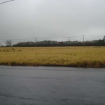 Terreno Padrão em São Carlos