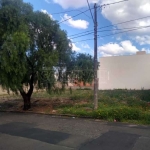 Terreno Padrão em São Carlos