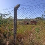 Terreno Padrão em São Carlos