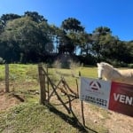 Terreno em Jardim Esmeralda, Campo Largo/PR