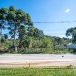 Terreno à venda na Joao Stukas, 1, Botiatuva, Campo Largo