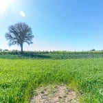 Terreno à venda na Rua José de Paiva Vidal, 2227, Vila Santa Terezinha, Campo Largo