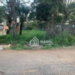 Terreno à venda, 424 m² por R$ 130.000 - Cará-cará - Ponta Grossa/PR