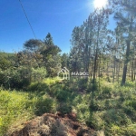 Terreno à venda, 360 m² por R$ 50.000 - Chapada - Ponta Grossa/PR