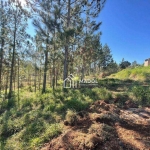 Terreno à venda, 720 m² por R$ 90.000 - Chapada - Ponta Grossa/PR