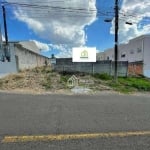 Terreno à venda, 100 m² por R$ 300.000 - Orfãs - Ponta Grossa/PR